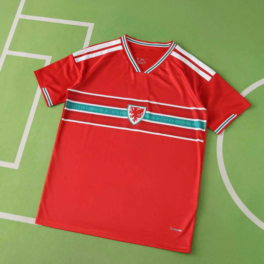 Mens World Cup 2026 Wales Home Fan Version Shirt