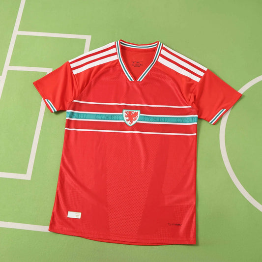 Mens World Cup 2026 Wales Home Player Version Shirt