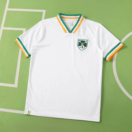 Mens World Cup 2026 Ireland Special Jersey